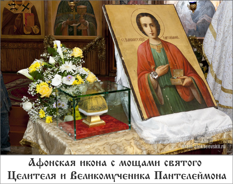 Без имени-1