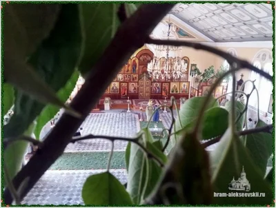 Праздник Святой Троицы 2019 г.