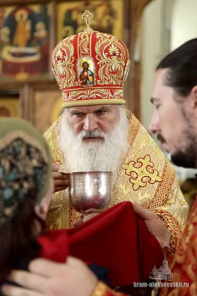Митрополит Викентий: «Нашу волю мы должны усмирять…»