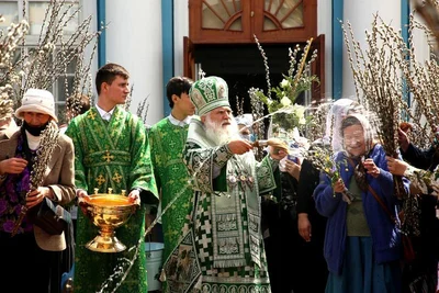 В праздник Входа Господня в Иерусалим митрополит Викентий освятил вербы