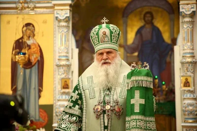 В праздник Входа Господня в Иерусалим митрополит Викентий освятил вербы