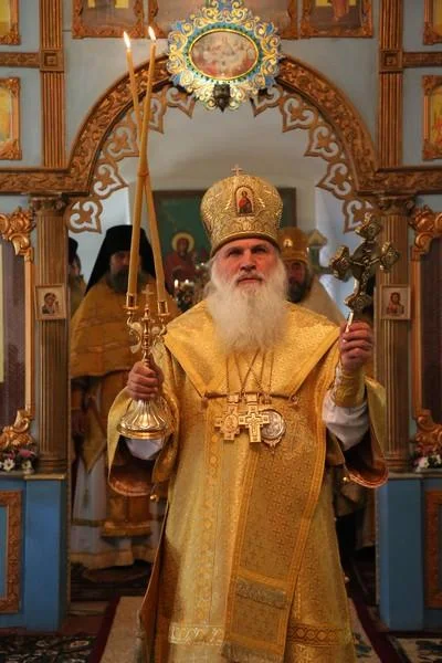 Митрополит Викентий: «Недоверие – это наша слабость, немощь»