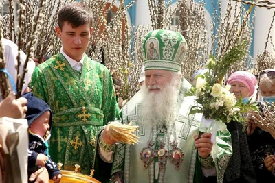 В праздник Входа Господня в Иерусалим митрополит Викентий освятил вербы