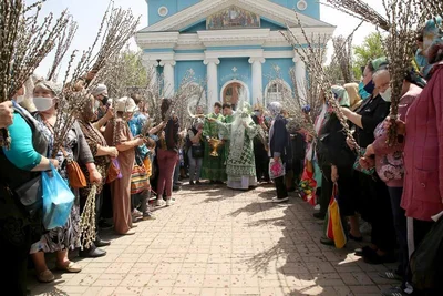 В праздник Входа Господня в Иерусалим митрополит Викентий освятил вербы