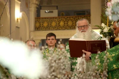 В праздник Входа Господня в Иерусалим митрополит Викентий освятил вербы