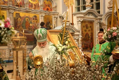 В праздник Входа Господня в Иерусалим митрополит Викентий освятил вербы