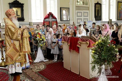 Митрополит Викентий: «Нашу волю мы должны усмирять…»