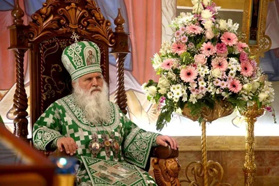 В праздник Входа Господня в Иерусалим митрополит Викентий освятил вербы
