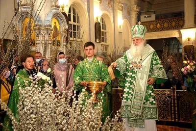 В праздник Входа Господня в Иерусалим митрополит Викентий освятил вербы