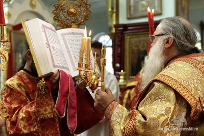 Митрополит Викентий: «Нашу волю мы должны усмирять…»