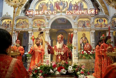 Духовенство епархии поздравило архипастыря с Пасхой Христовой