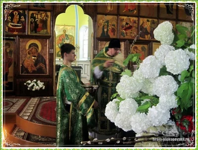 Праздник Входа Господня в Иерусалим (Вербное воскресенье)