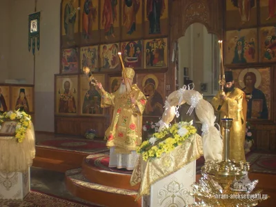 Память преподобного Саввы Освященного архипастырь почтил в Свято-Алексиевском соборе Самарканда