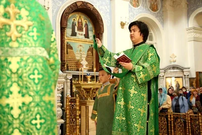 В праздник Входа Господня в Иерусалим митрополит Викентий освятил вербы