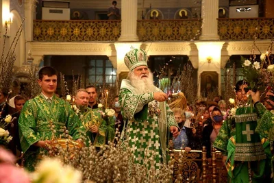 В праздник Входа Господня в Иерусалим митрополит Викентий освятил вербы
