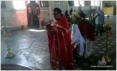 Радуйся, Водо спасительная