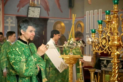 В праздник Входа Господня в Иерусалим митрополит Викентий освятил вербы