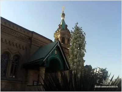 Рождество Богородицы 2016 года в соборе