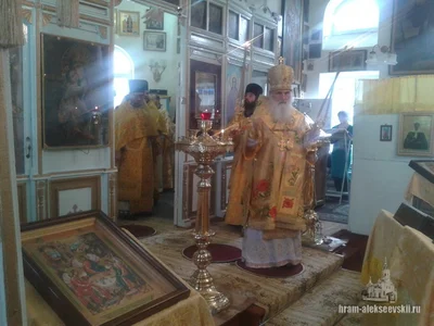 Митрополит Викентий вручил награду старейшему священнику самаркандского благочиния