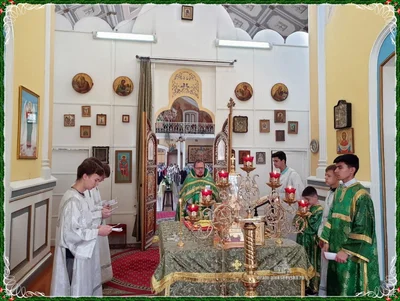 Вход Господень в Иерусалим. (Вербное воскресенье).