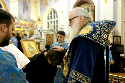 В праздник Введения во храм Пресвятой Богородицы митрополит Викентий совершил пресвитерскую и диаконскую хиротонии