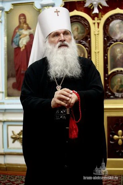 Митрополит Викентий: «Нашу волю мы должны усмирять…»