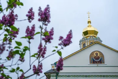 40-летие служения в священном сане отметил митрополит Ташкентский и Узбекистанский Викентий