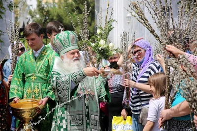 В праздник Входа Господня в Иерусалим митрополит Викентий освятил вербы