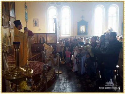 Дорогие братья и сестры, поздравляем Вас с Рождеством Христовым!