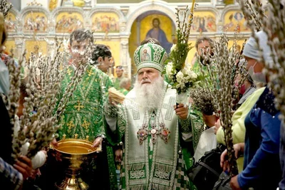 В праздник Входа Господня в Иерусалим митрополит Викентий освятил вербы