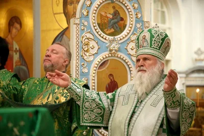 В праздник Входа Господня в Иерусалим митрополит Викентий освятил вербы