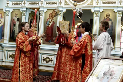 Митрополит Викентий: «Нашу волю мы должны усмирять…»