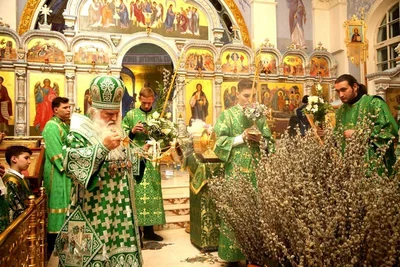 В праздник Входа Господня в Иерусалим митрополит Викентий освятил вербы