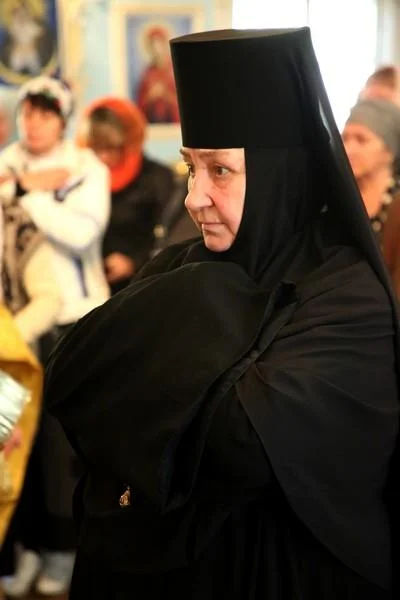 Митрополит Викентий: «Недоверие – это наша слабость, немощь»