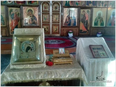 Празднование дня памяти Блаженной Ксении Петербургской