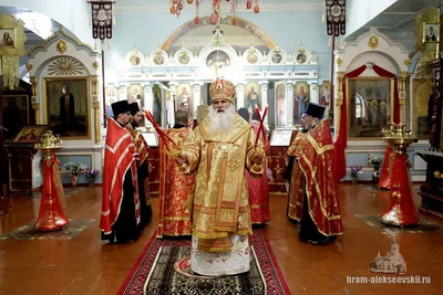Митрополит Викентий: «Нашу волю мы должны усмирять…»