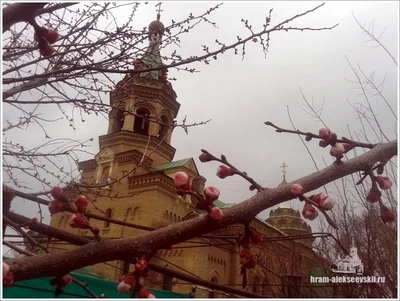 Память сорока мучеников Севастийских