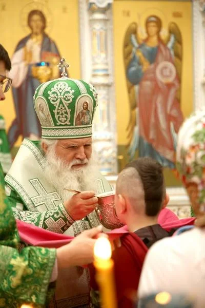 В праздник Входа Господня в Иерусалим митрополит Викентий освятил вербы