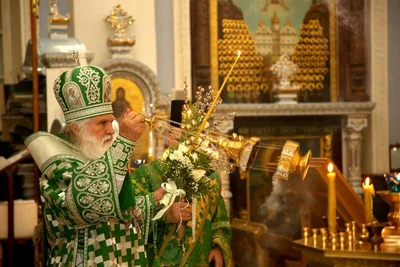 В праздник Входа Господня в Иерусалим митрополит Викентий освятил вербы