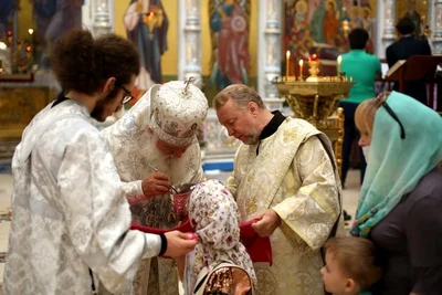 На праздник Преображения Господня митрополит Викентий освятил яблоки и виноград