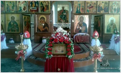 Радуйся, Водо спасительная