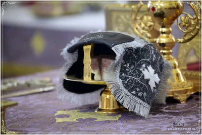 Фото из жизни храма