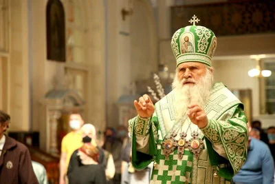 В праздник Входа Господня в Иерусалим митрополит Викентий освятил вербы