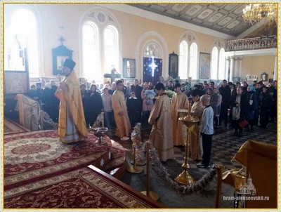 Дорогие братья и сестры, поздравляем Вас с Рождеством Христовым!