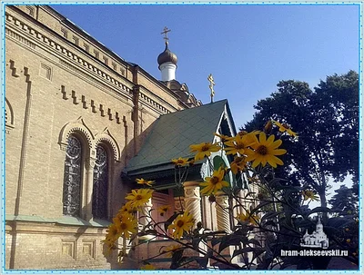 Праздник Рождества Пресвятой Владычицы нашей Богородицы и Приснодевы Марии