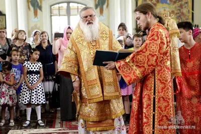 Митрополит Викентий: «Нашу волю мы должны усмирять…»