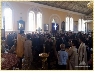 Дорогие братья и сестры, поздравляем Вас с Рождеством Христовым!