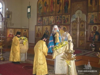 Память преподобного Саввы Освященного архипастырь почтил в Свято-Алексиевском соборе Самарканда