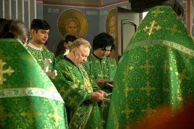 В праздник Входа Господня в Иерусалим митрополит Викентий освятил вербы