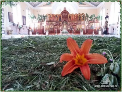 Праздник Святой Троицы 2019 г.